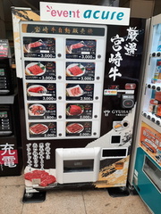 Voyage Japon Hiver 2023-2024
