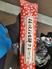 Voyage Japon Hiver 2023-2024