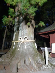 Voyage Japon Hiver 2023-2024