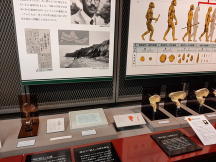 Voyage Japon Hiver 2023-2024