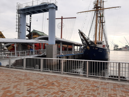 Voyage Japon Hiver 2023-2024