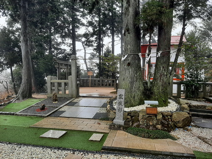 Voyage Japon Hiver 2023-2024