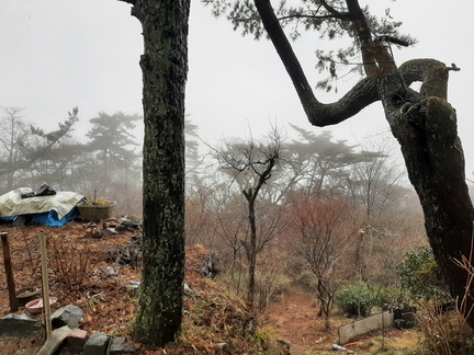 Voyage Japon Hiver 2023-2024