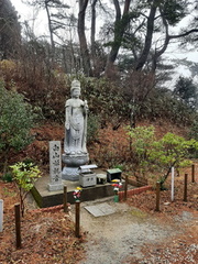 Voyage Japon Hiver 2023-2024