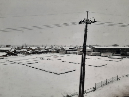 Voyage Japon Hiver 2023-2024